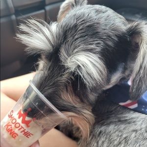 Meet your Posher, Farrah